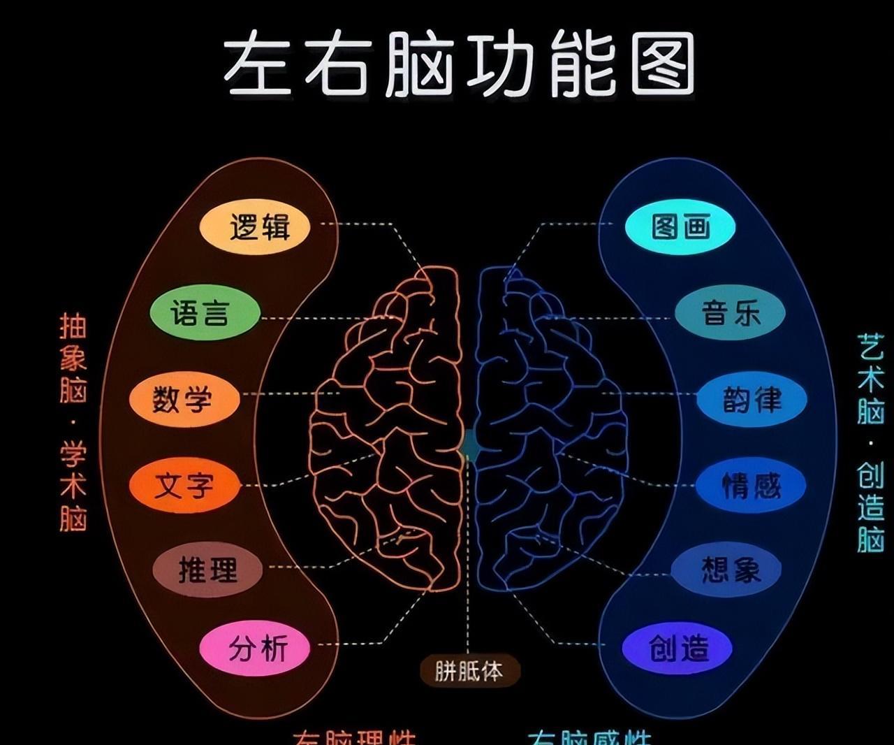 右脑联想记忆游戏_开发右脑记忆的游戏_记忆开发右脑游戏的好处