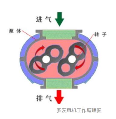 罗茨鼓风机工作原理视频_罗茨鼓风机的工作过程_罗茨鼓风机原理 动画