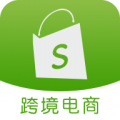 跨境电商建站引流安卓版