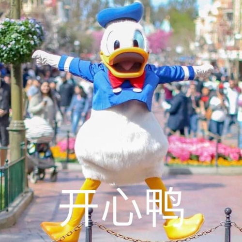 开心鸭